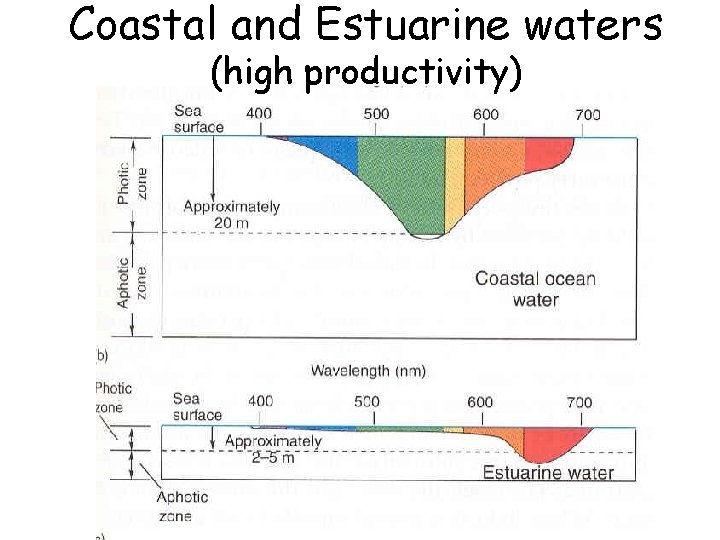 Coastal and Estuarine waters (high productivity) 