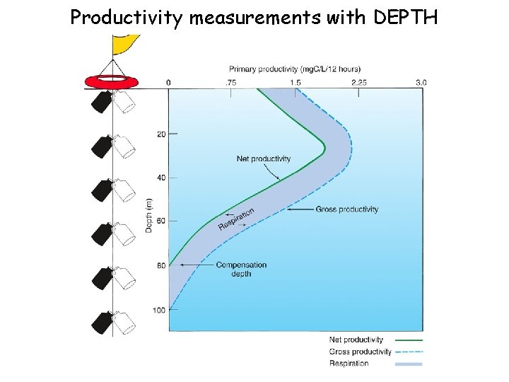 Productivity measurements with DEPTH 