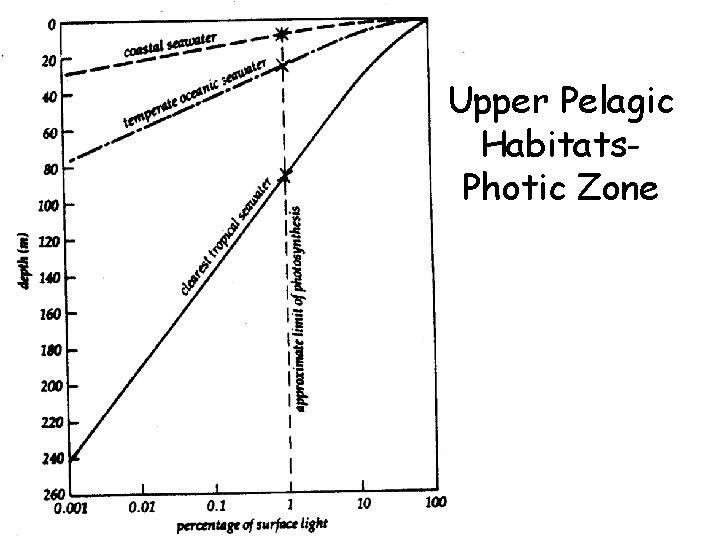 Upper Pelagic Habitats. Photic Zone 