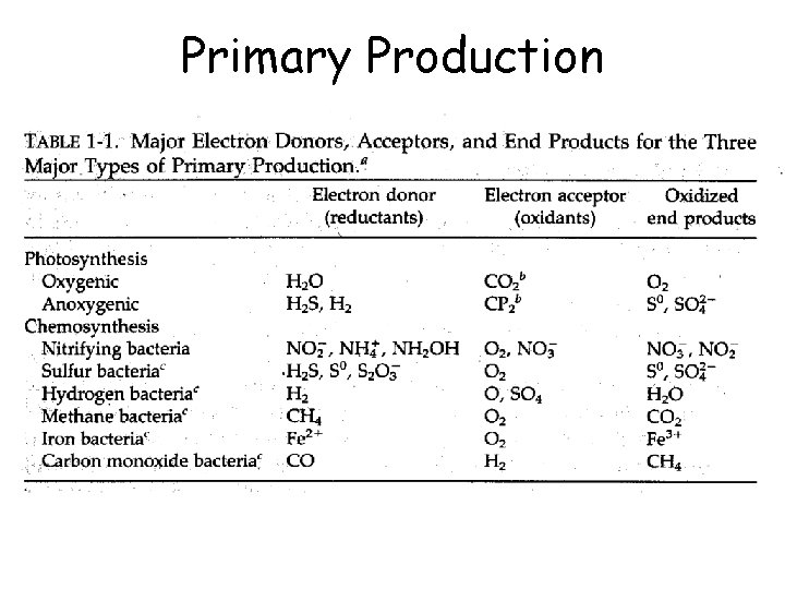 Primary Production 