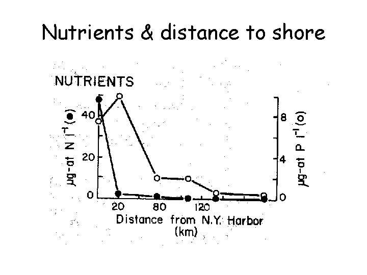 Nutrients & distance to shore 