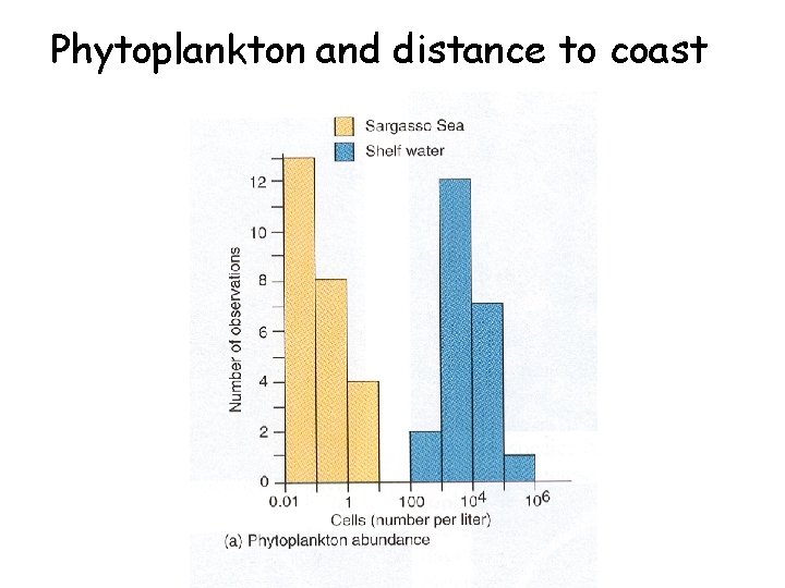 Phytoplankton and distance to coast 