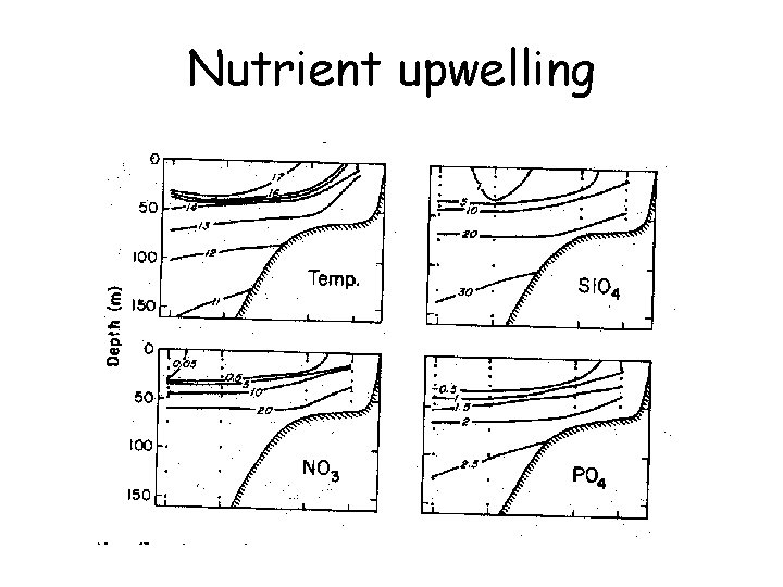 Nutrient upwelling 