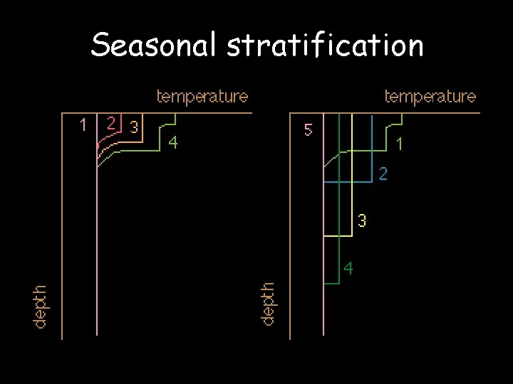 Seasonal stratification 