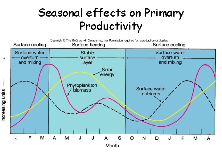 Seasonal effects on Primary Productivity 