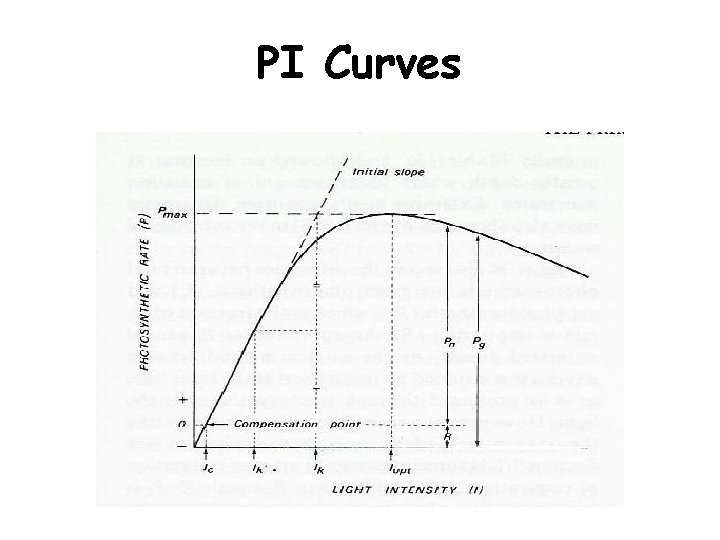 PI Curves 