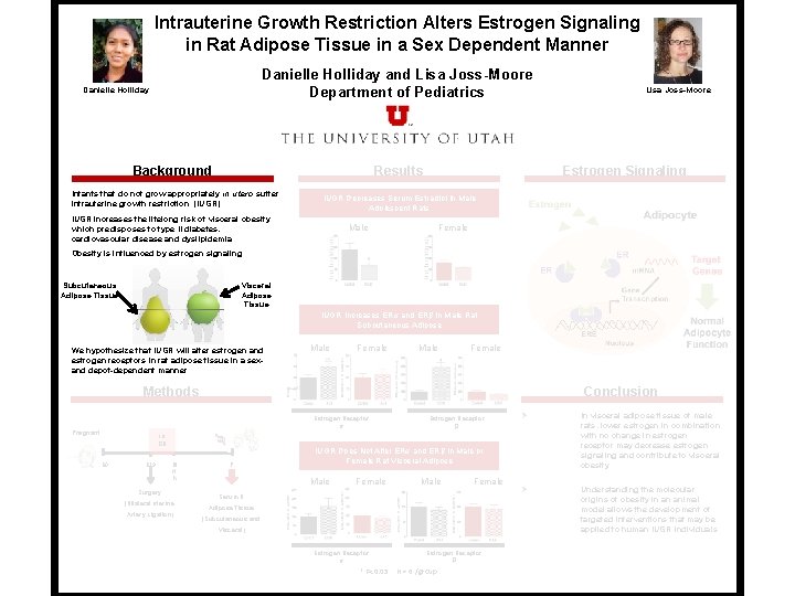 Intrauterine Growth Restriction Alters Estrogen Signaling in Rat Adipose Tissue in a Sex Dependent