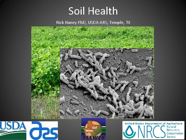 Soil Health Rick Haney Ph. D, USDA-ARS, Temple, TX 