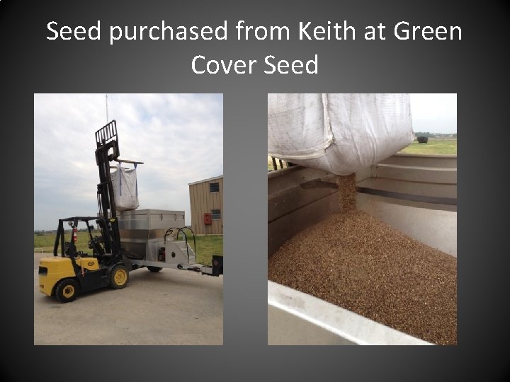 Seed purchased from Keith at Green Cover Seed 