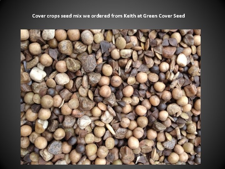 Cover crops seed mix we ordered from Keith at Green Cover Seed 