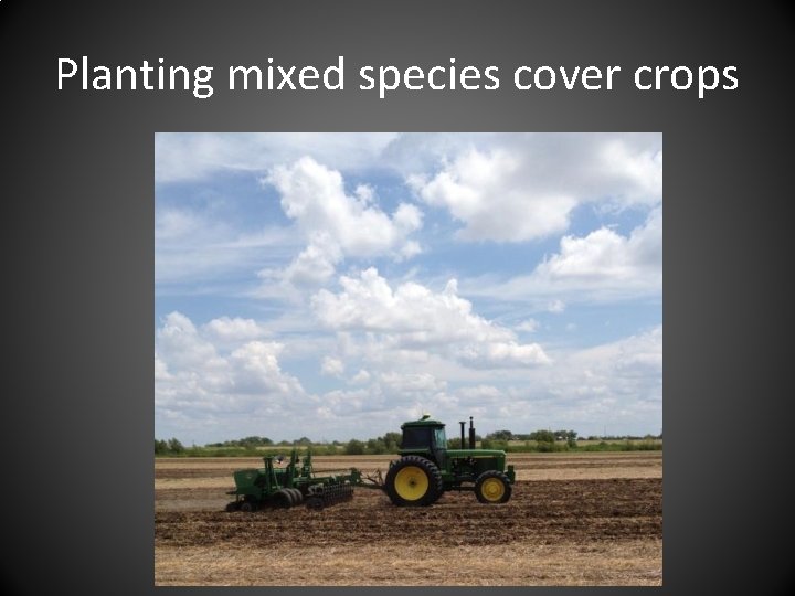 Planting mixed species cover crops 