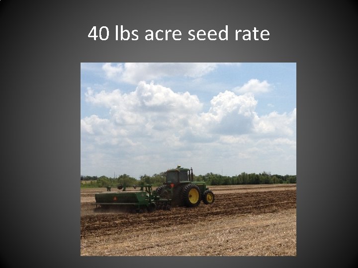 40 lbs acre seed rate 