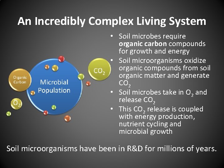 An Incredibly Complex Living System • Soil microbes require organic carbon compounds for growth