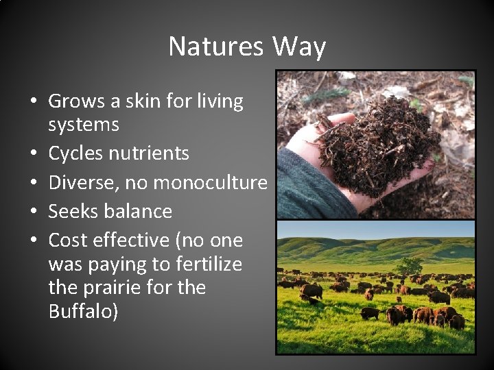 Natures Way • Grows a skin for living systems • Cycles nutrients • Diverse,