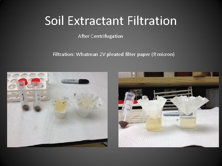 Soil Extractant Filtration After Centrifugation Filtration: Whatman 2 V pleated filter paper (8 micron)