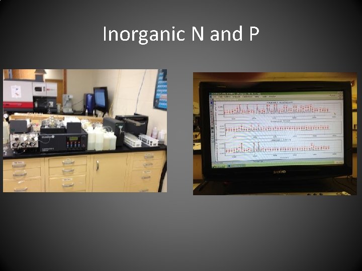 Inorganic N and P 