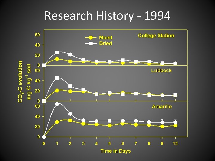 Research History - 1994 