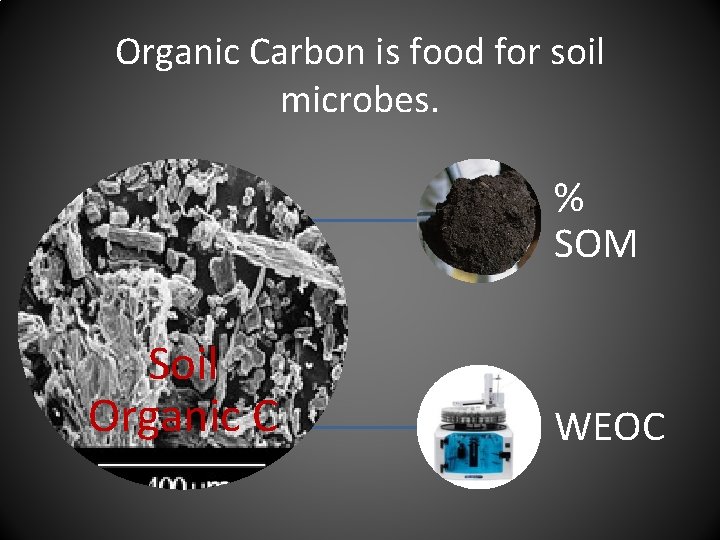 Organic Carbon is food for soil microbes. % SOM Soil Organic C WEOC 