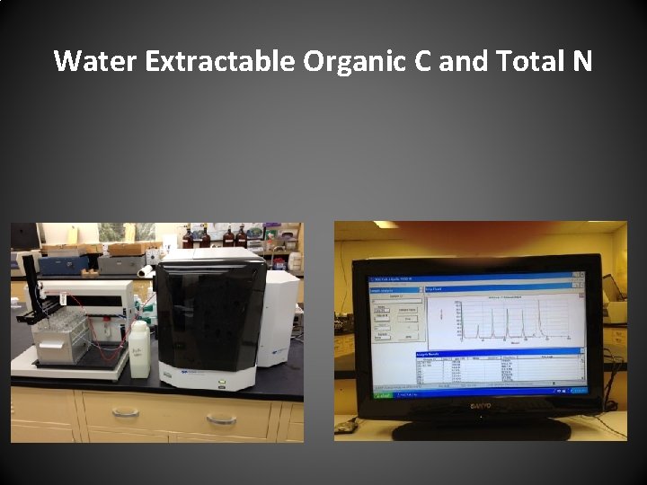 Water Extractable Organic C and Total N 