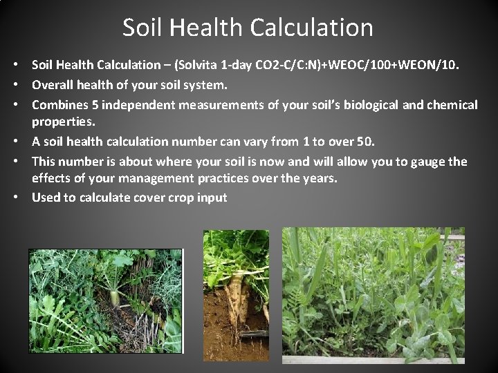 Soil Health Calculation • Soil Health Calculation – (Solvita 1 -day CO 2 -C/C: