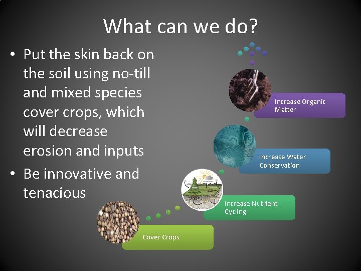 What can we do? • Put the skin back on the soil using no-till