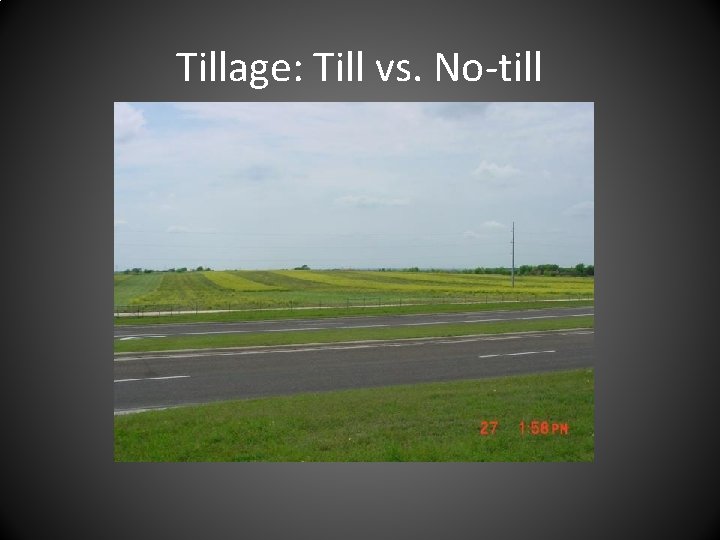 Tillage: Till vs. No-till 