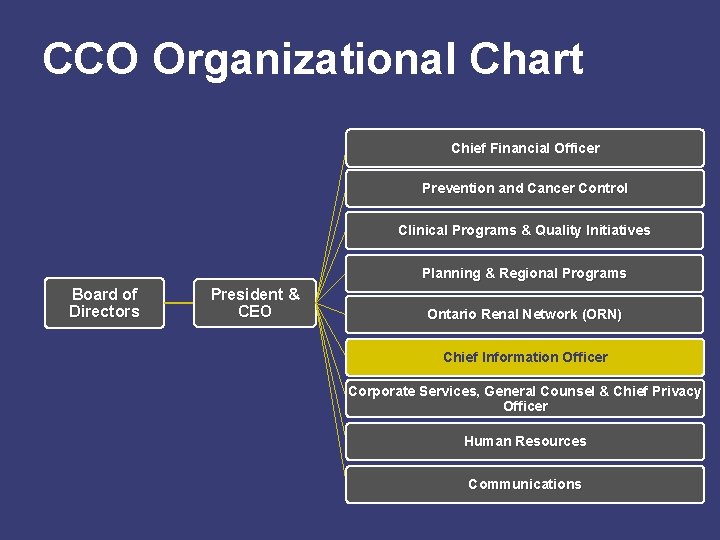 CCO Organizational Chart Chief Financial Officer Prevention and Cancer Control Clinical Programs & Quality