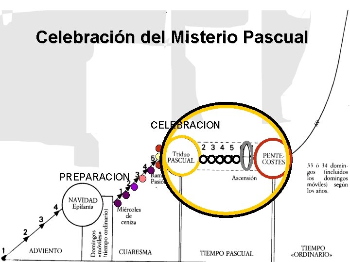 Celebración del Misterio Pascual CELEBRACION PREPARACION 