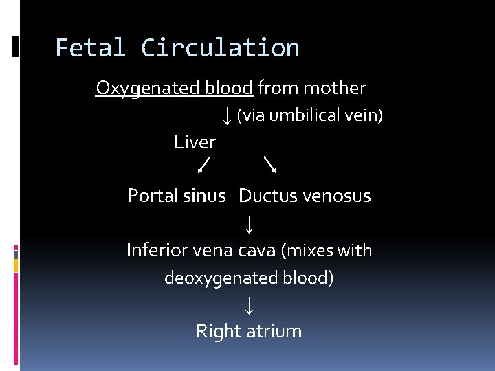 Fetal Circulation Oxygenated blood from mother ↓ (via umbilical vein) Liver Portal sinus Ductus