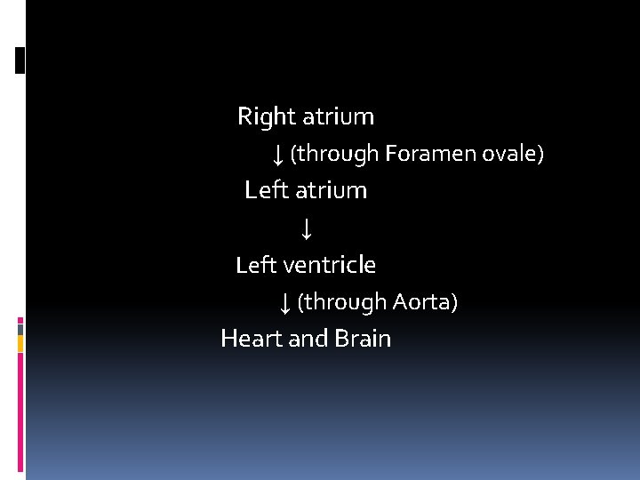 Right atrium ↓ (through Foramen ovale) Left atrium ↓ Left ventricle ↓ (through Aorta)