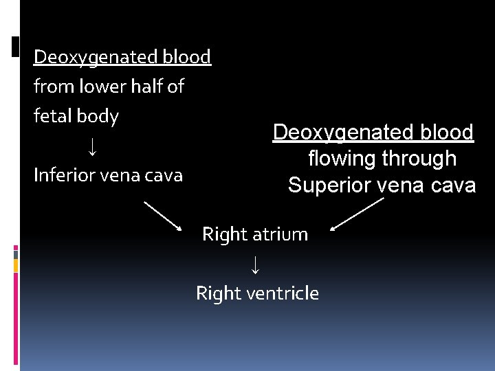 Deoxygenated blood from lower half of fetal body ↓ Inferior vena cava Deoxygenated blood Deoxygenated blood from lower half of fetal body ↓ Inferior vena cava Deoxygenated blood