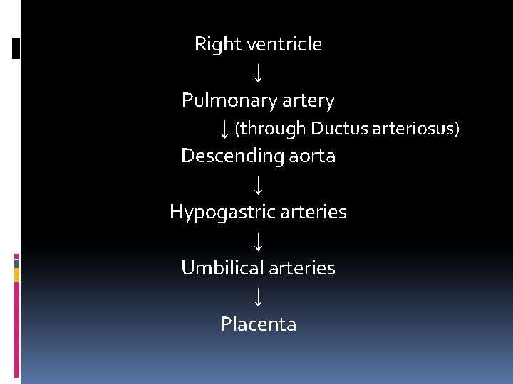 Right ventricle ↓ Pulmonary artery ↓ (through Ductus arteriosus) Descending aorta ↓ Hypogastric arteries