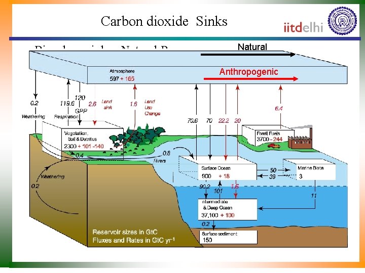 Carbon dioxide Sinks Natural • Biosphere sinks : Natural Resources • Geosphere Sinks: Natural