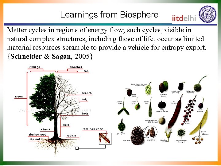 Learnings from Biosphere Matter cycles in regions of energy flow; such cycles, visible in