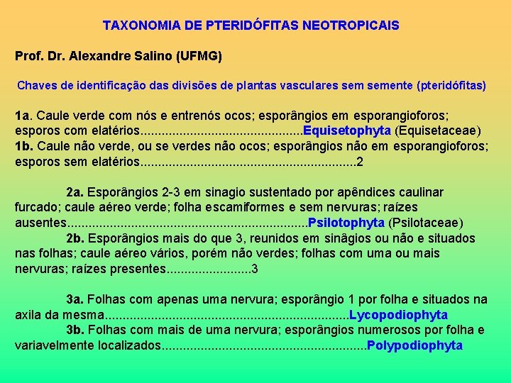 TAXONOMIA DE PTERIDÓFITAS NEOTROPICAIS Prof. Dr. Alexandre Salino (UFMG) Chaves de identificação das divisões