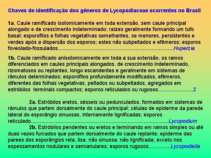 Chaves de identificação dos gêneros de Lycopodiaceae ocorrentes no Brasil 1 a. Caule ramificado