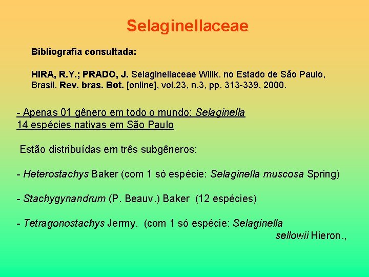 Selaginellaceae Bibliografia consultada: HIRA, R. Y. ; PRADO, J. Selaginellaceae Willk. no Estado de