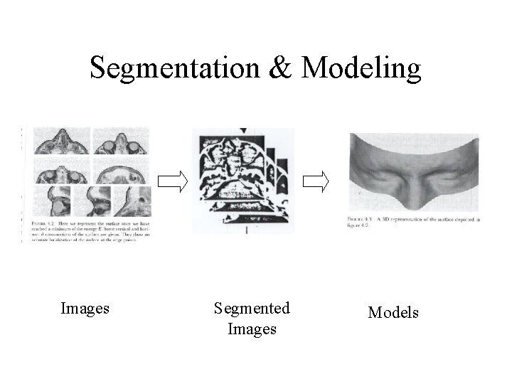 Segmentation & Modeling Images Segmented Images Models 