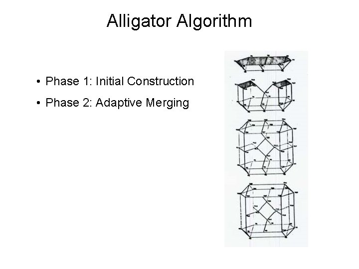 Alligator Algorithm • Phase 1: Initial Construction • Phase 2: Adaptive Merging 