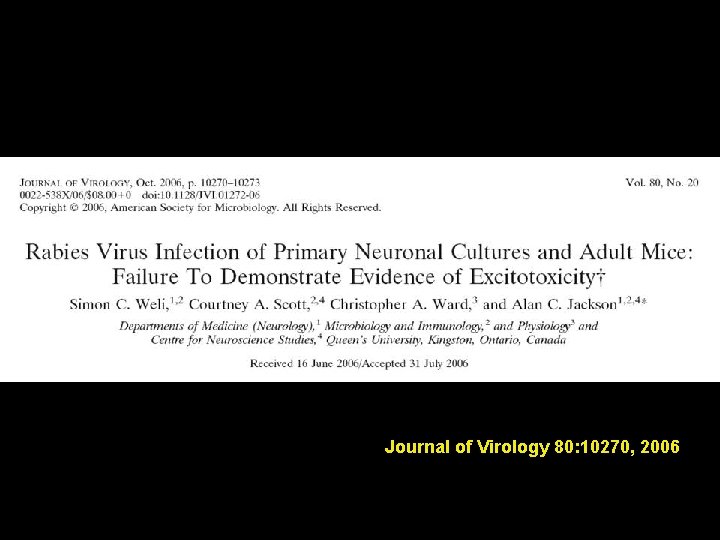Therapy of human rabies lessons from experimental studies