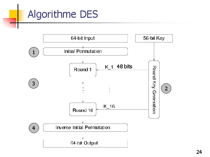 Algorithme DES 1 48 bits 3 2 4 24 