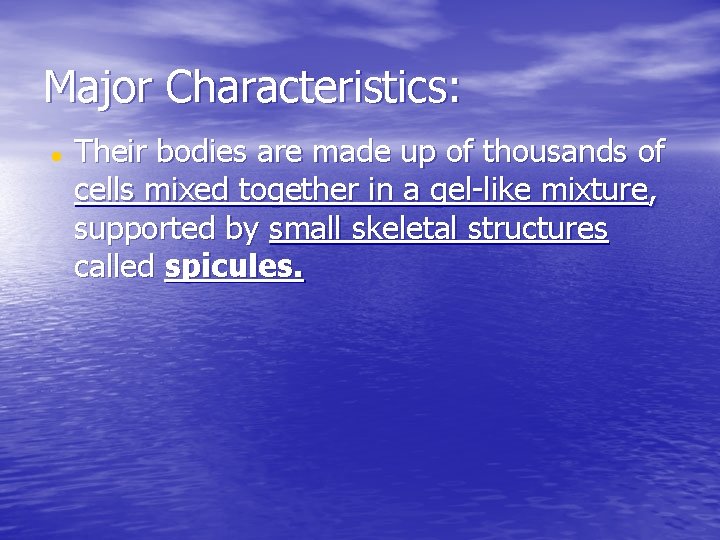 Major Characteristics: Their bodies are made up of thousands of cells mixed together in