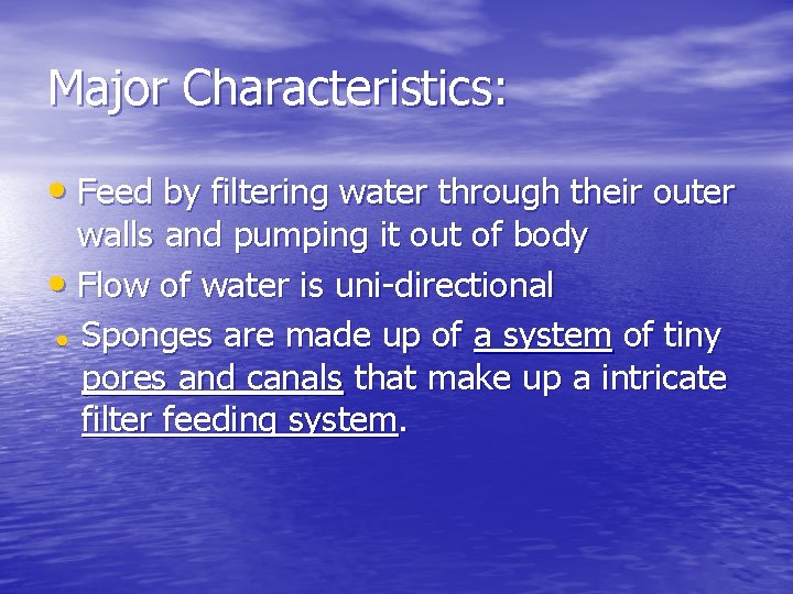 Major Characteristics: • Feed by filtering water through their outer walls and pumping it