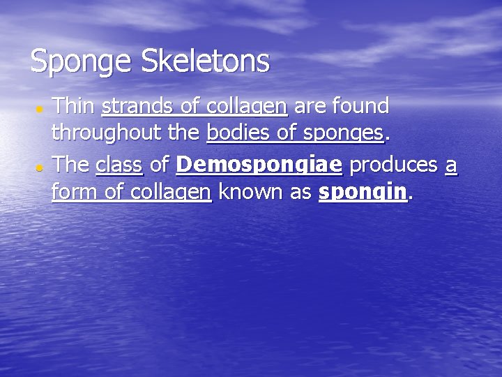 Sponge Skeletons Thin strands of collagen are found throughout the bodies of sponges. The