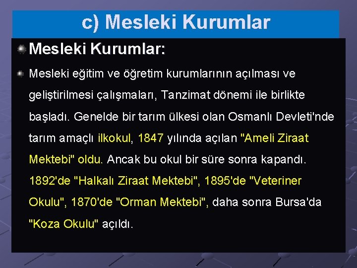 c) Mesleki Kurumlar: Mesleki eğitim ve öğretim kurumlarının açılması ve geliştirilmesi çalışmaları, Tanzimat dönemi