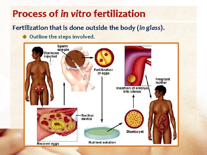 Process of in vitro fertilization Fertilization that is done outside the body (in glass).