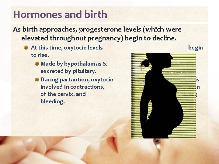 Hormones and birth As birth approaches, progesterone levels (which were elevated throughout pregnancy) begin