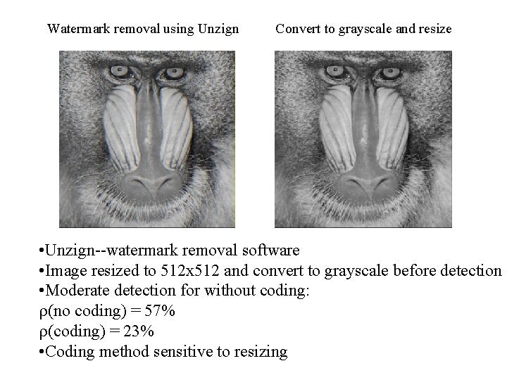 Watermark removal using Unzign Convert to grayscale and resize • Unzign--watermark removal software • Watermark removal using Unzign Convert to grayscale and resize • Unzign--watermark removal software •