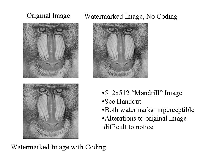 Original Image Watermarked Image, No Coding • 512 x 512 “Mandrill” Image • See