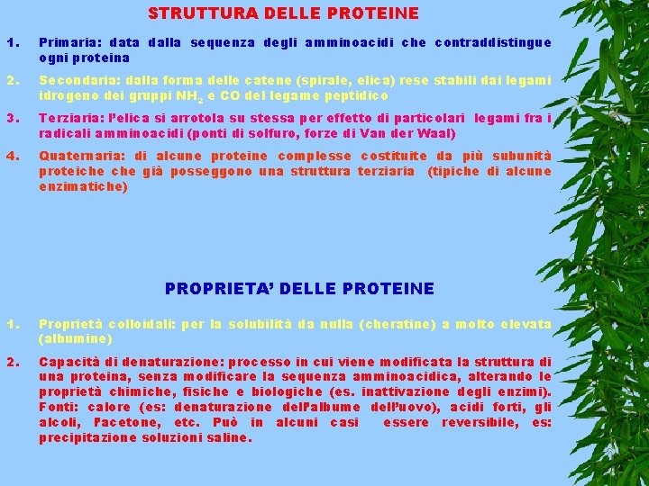 STRUTTURA DELLE PROTEINE 1. Primaria: data dalla sequenza degli amminoacidi che contraddistingue ogni proteina